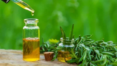 aceite esencial de arbol de te
