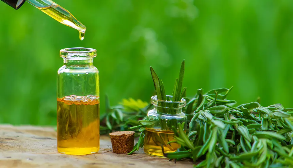 aceite esencial de arbol de te