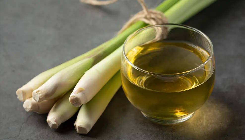 Aceite Esencial de Citronela