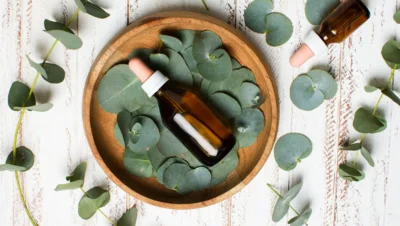 Aceite Esencial de Eucalipto