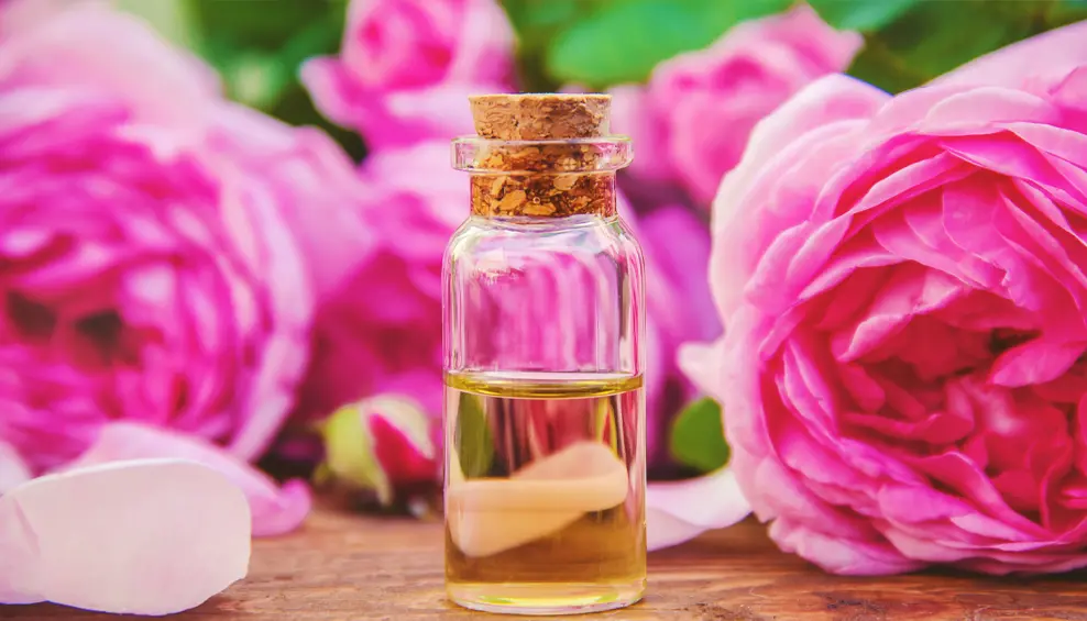 Aceites Esenciales de Rosas