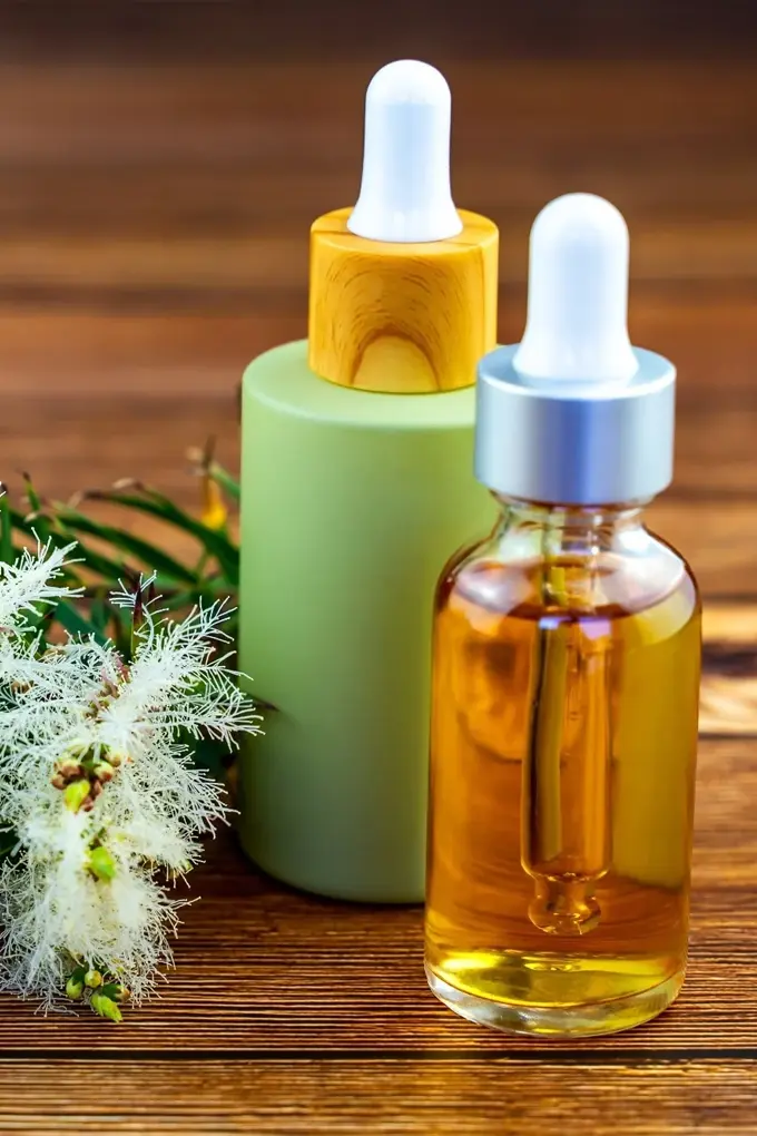 ¿Qué es el Aceite Esencial de Árbol de Té?